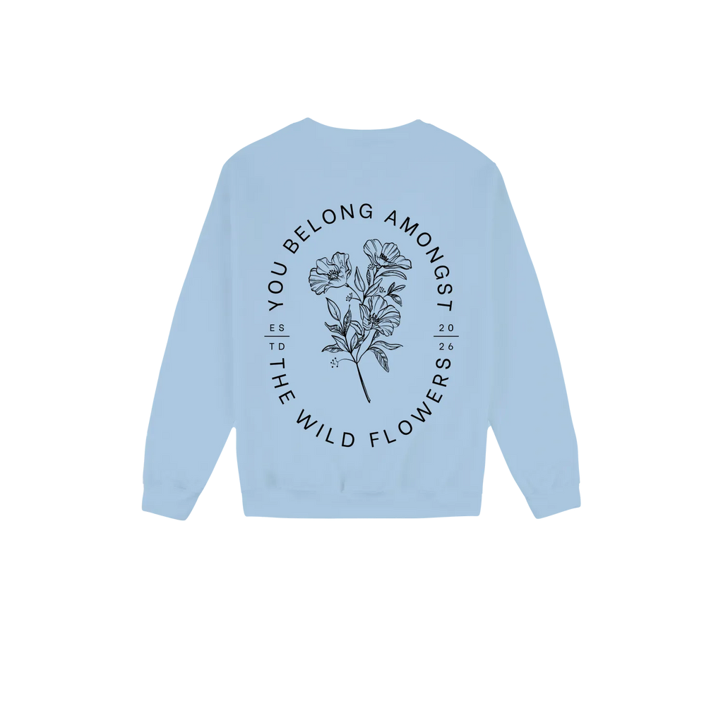 Light Blue back flat lay