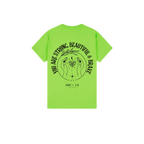 Lime back flat lay